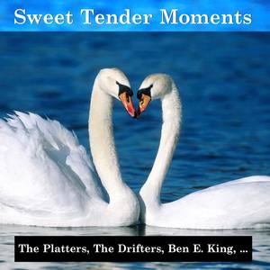 Sweet Tender Moments