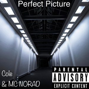 Perfect Picture (Explicit)