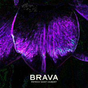 Brava EP