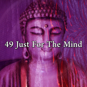 49 Just for the Mind