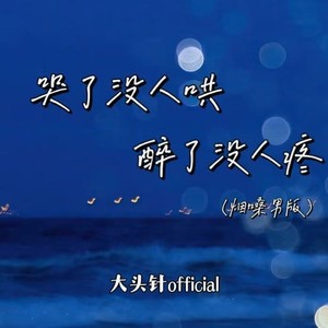 大头针 Official - 哭了没人哄醉了没人疼 (烟嗓男版)