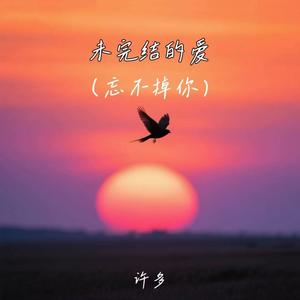 未完结的爱 (忘不掉你)