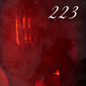 223 (Explicit)