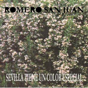 Sevilla tiene un color especial