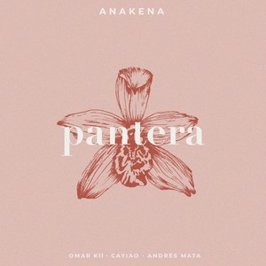 Pantera (Acústica)