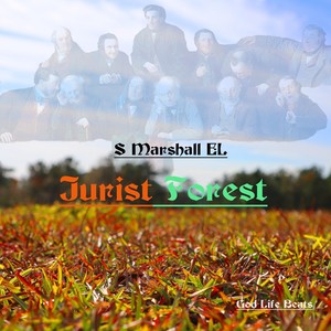 Jurist Forest