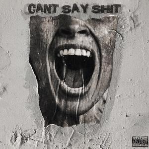 CAN'T SAY **** (feat. Scar$ & ZANDV) (Explicit)