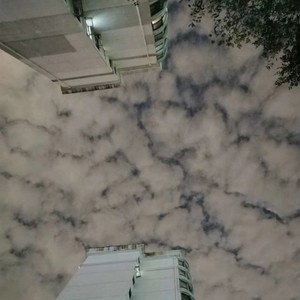 我就住在这世界之巅