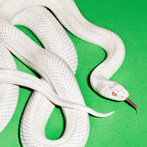 my mind is a mountain