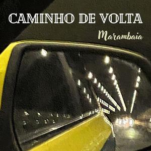 Caminho de Volta