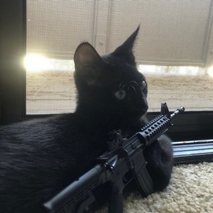 ****ed Up! (feat. SevenCenturies) (Explicit)