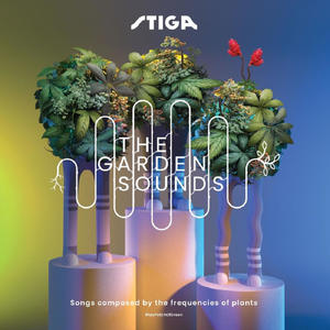 Spontaneous Grass (Poaceae)