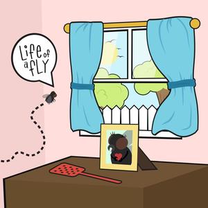 Life of a Fly