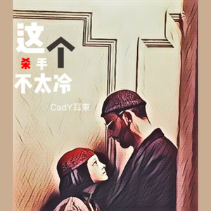 这个杀手不太冷 mix3