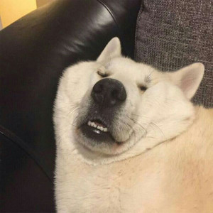 MC毁忆 - 承蒙时光不弃