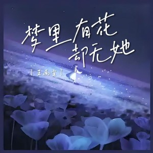 王雨尘 - 梦里有花却无她 (伴奏)