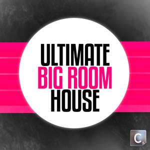 Ultimate Big Room House