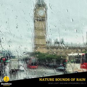 Nature Sounds of Rain - Dewy, Light and Dark Atmospheres, Vol. 2