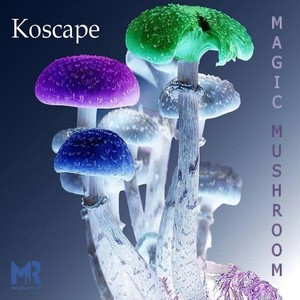 Magic Mushroom