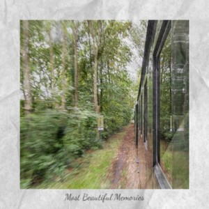 All the Money Has Gone