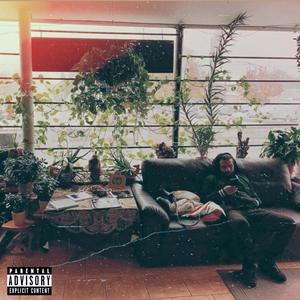 Recognize (Explicit)