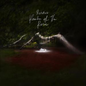 Realm of the Rose