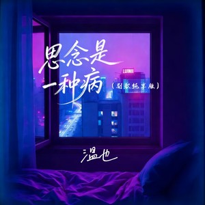 思念是一种病 (副歌纯享版)