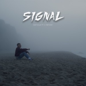 Signal