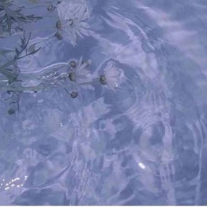 我决定从此要把你忘记