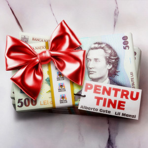 Pentru Tine (Remix)