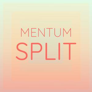 Mentum Split