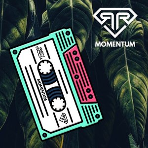 Momentum (Original Mix)