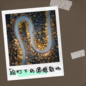 路灯下的遗憾散场