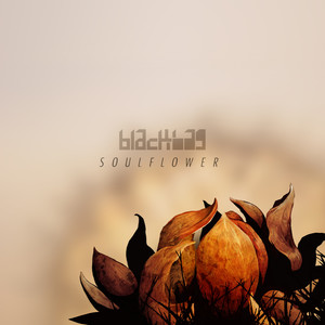 Soulflower