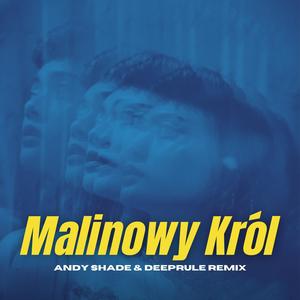 Malinowy Król (Andy Shade & Deeprule Remix)