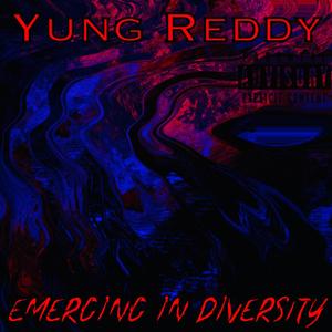 Emerging in Diversity (Explicit)