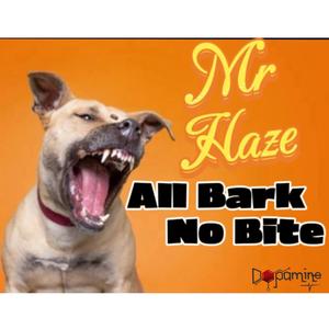 ALL BARK NO BITE (Explicit)