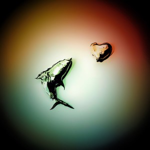 相逢贺礼 (纯音乐)