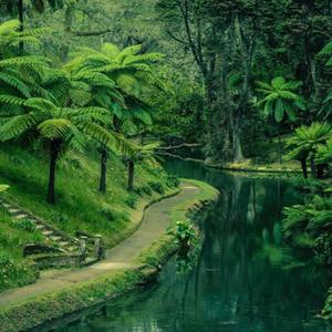 TOo High (feat. 2TwinGlox) (Explicit)