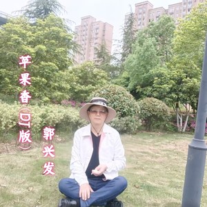 郭兴发 - 苹果香 (DJ版)