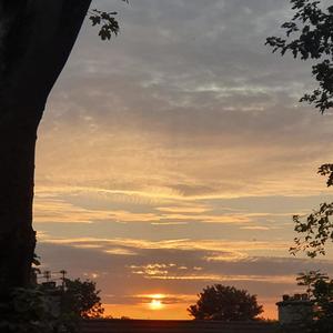 Phazed(feat. Steelyvibe)