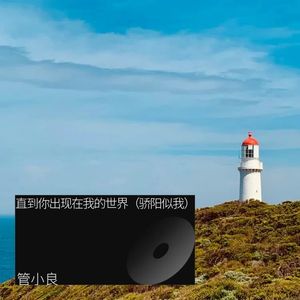 直到你出现在我的世界