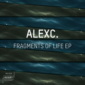 Fragments of Life
