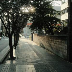 Where Nothing Competes