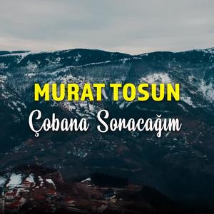 Çobana Soracağım (feat. Murat Tosun)