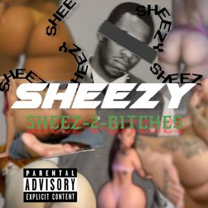Sheez2Hoes (feat. SPR Sheezy) (Explicit)