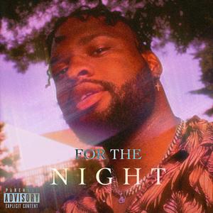 For the Night (feat. Y.D.A) (Explicit)
