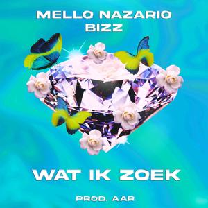 Wat Ik Zoek (feat. BIZZ) [Explicit]