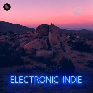 Electronic Indie