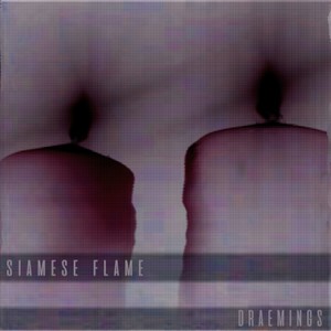 Siamese Flame